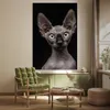 MuchoWow® Poster Katze - Sphynx - Schwarz 120x180 cm - Produktbild-Vorschau 3