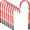 A group of red and white striped candy canes arranged in a curve against a white background. Voir les images du produit