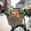 Koszyk rowerowy Racktime Baskit Deluxe 2.0 srebrny Podgląd zdjęcia produktu 2