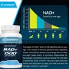 Resveratrol NAD+ 1500mg (120 Kapseln) Produktbild-Vorschau 5