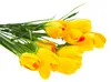 Krokus Künstliche Krokusse Strauss 10 Krokusse Im Gras Produktbild-Vorschau 8