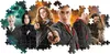Puzzle Harry Potter 1000 dielikov Panorama Náhľad obrázku produktu 5