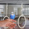 Relaxdays - Lot de 2 anneaux pour balançoire d'oiseaux, Voir les images du produit 3