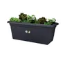 Untersetzer für Pflanzkübel Green Basics 60cm Living Noir - Produktbild-Vorschau 4
