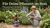 Flüssigdünger mit 15 % Pflanzenkohle 1 L - Wundergarten Produktbild-Vorschau 3