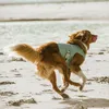 Hurtta Cooling Wrap, Hund, Jacke, Blau, Riese (≥45 kg), Produktbild-Vorschau 4