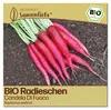 Samenliebe  Radieschen Samen | Candela Di Fuoco - scharf & Produktbild-Vorschau 1