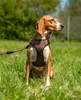 pettorina per cani lionto anti-pull, pettorina a Y Anteprima dell’immagine prodotto 4
