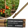 Tutor de bambú Garden KBT, 1200/10-12 mm, paquete de 10 Vista previa de la imagen del producto 1