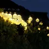 Solar string lights with spherical bulbs are draped over foliage and a roofline at dusk. Voir les images du produit