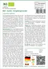 SAFLAX - BIO - Gurke - Vorgebirgstraube - Cucumis sativus - Produktbild-Vorschau 3