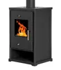 A black wood-burning stove with a glass door showing flames. Náhled obrázku produktu