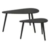 H&S Decoration | Set de tables d'appoint - 2 pièces - Noir Voir les images du produit 1