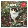 Katzen 2027 Produktbild-Vorschau 1