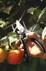 Fiskars 111960 Pro Gartenschere Produktbild-Vorschau 32