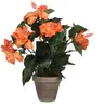 Mica Decorations Hibiskus Kunstpflanze im Blumentopf Stan - Produktbild-Vorschau 1