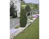 A planted garden bed with flowers and a small tree next to a road and a building. Náhled obrázku produktu