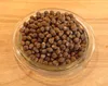 LanDixx Blaue Lupine Saatgut 5 kg Samen Saat Gründüngung Produktbild-Vorschau 1