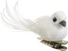 Vogel foam l2b5h2.5 cm wit 4st kerst Decoris Productafbeelding-voorbeeld 3