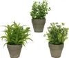 Künstliche Sukkulenten-Topfpflanze 25 cm Produktbild-Vorschau 1