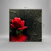 Bilder auf glas - Blume rote rose wasser tau - 40x40cm - Produktbild-Vorschau 3