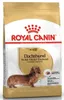 Klein Royal Canin Dachshund Adulto Pollo Arroz Aves 1,5 Kg Produktbild-Vorschau 8