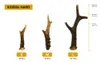 RF-Deer Jelení & Srí paroží L 111-230g 13-22cm tvrdá Náhled obrázku produktu 15
