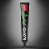 A black tube of SPLAT Special BLACKWOOD toothpaste with a pine branch and berries illustration. Produktbild-Vorschau