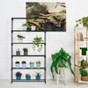 Półka na kwiaty Relaxdays, 6 półek, doniczki na kwiaty i Podgląd zdjęcia produktu 2