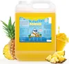 Belissia Slush Eis Sirup 5L Konzentrat | Ananas Geschmack | Produktbild-Vorschau 1
