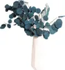 Eucalyptus Fleurs Séchées Durabilité Eternelle Bouquet de Voir les images du produit 6
