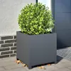 A square planter with a green bush in it, placed on a paved patio next to a brick wall and a dark door. Anteprima dell’immagine prodotto