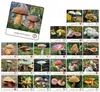 ADAMIGO Memory-Spiel Grzyby Polski 07912 Produktbild-Vorschau 2