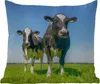 MuchoWow® Outdoor Kissen - Kühe - Weide - Tiere - Bauernhof Produktbild-Vorschau 1