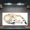 Coloray Spritzschutz aus Glas 100x50  Wandkunst Produktbild-Vorschau 2