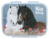 Depesche 13398 Miss Melody Dusty Rose - Brotdose in Produktbild-Vorschau 1