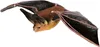 Safari Ltd Townsends Big Eared Bat Multicolor One Size Produktbild-Vorschau 5