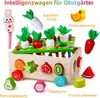 Montessori Spielzeug，süße Sortier Karottenernte Spiele Produktbild-Vorschau 4