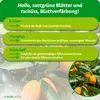Purgrün -Kumquat-Dünger 1 Liter, Produktbild-Vorschau 3
