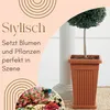 Pflanzkübel Groß Außen Pflanzkübel Pyramide Blumenkübel Produktbild-Vorschau 3