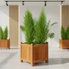 Mucola vaso da fiori fioriera quadrata portafiori Anteprima dell’immagine prodotto 1