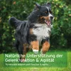 Aniforte AgilityVET Compresse per le articolazioni - 120 Anteprima dell’immagine prodotto 6