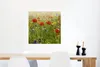 MuchoWow® Poster Frühling - Blumen - Rot - Mohn - Gras - Produktbild-Vorschau 5
