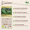 Samenliebe  Asia Salat Samen | Red Giant - winterhart & rot Produktbild-Vorschau 3