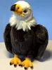 A plush toy bald eagle is shown from the front, sitting on a surface with a light blue background. Voir les images du produit