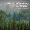 1 RM PREMIUM Buchen Brennholz | 30cm | kammergetrocknet | Produktbild-Vorschau 8