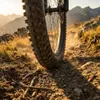 Maxxis Minion DHF 29x2,50 WT (63-622) EXO Draht schwarz Produktbild-Vorschau 9