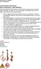 Kobolo dekorativní zástrčka zahradní zástrčka sada 3 kusů Náhled obrázku produktu 8