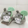 Lotusblatt Totoro Kuscheltier Puppe Kindergeschenk 30cm Produktbild-Vorschau 4