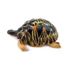 Toymany ML00420 Strahlenschildkröte 6,5 cm Reptilienreich Produktbild-Vorschau 3